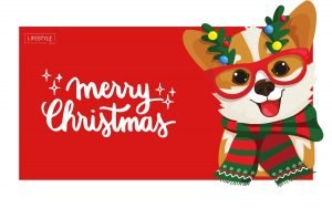 Best Stocking Stuffer Ideas For Christmas