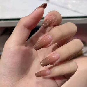 Nails in Brown Ombre